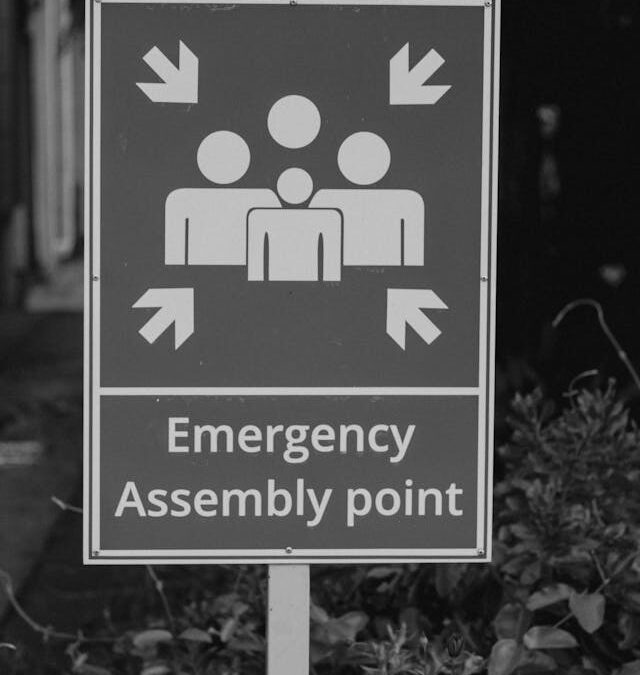 Emergency and Disaster Group